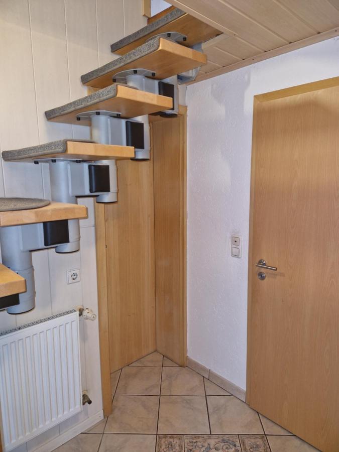 Ferienwohnung Blumenshein Bei Speyer Karlsruhe Familienfreundlich 5 Pers Zeiskam Экстерьер фото