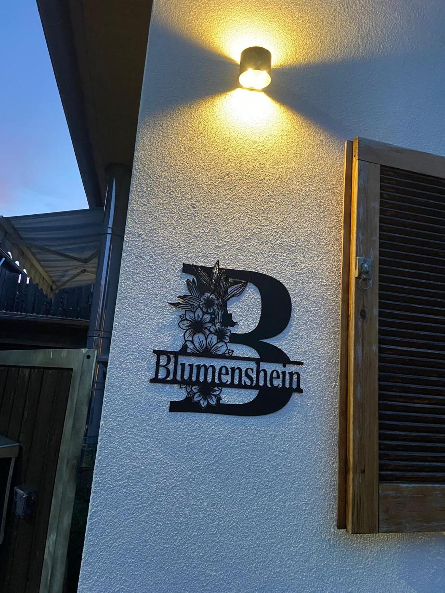 Ferienwohnung Blumenshein Bei Speyer Karlsruhe Familienfreundlich 5 Pers Zeiskam Экстерьер фото