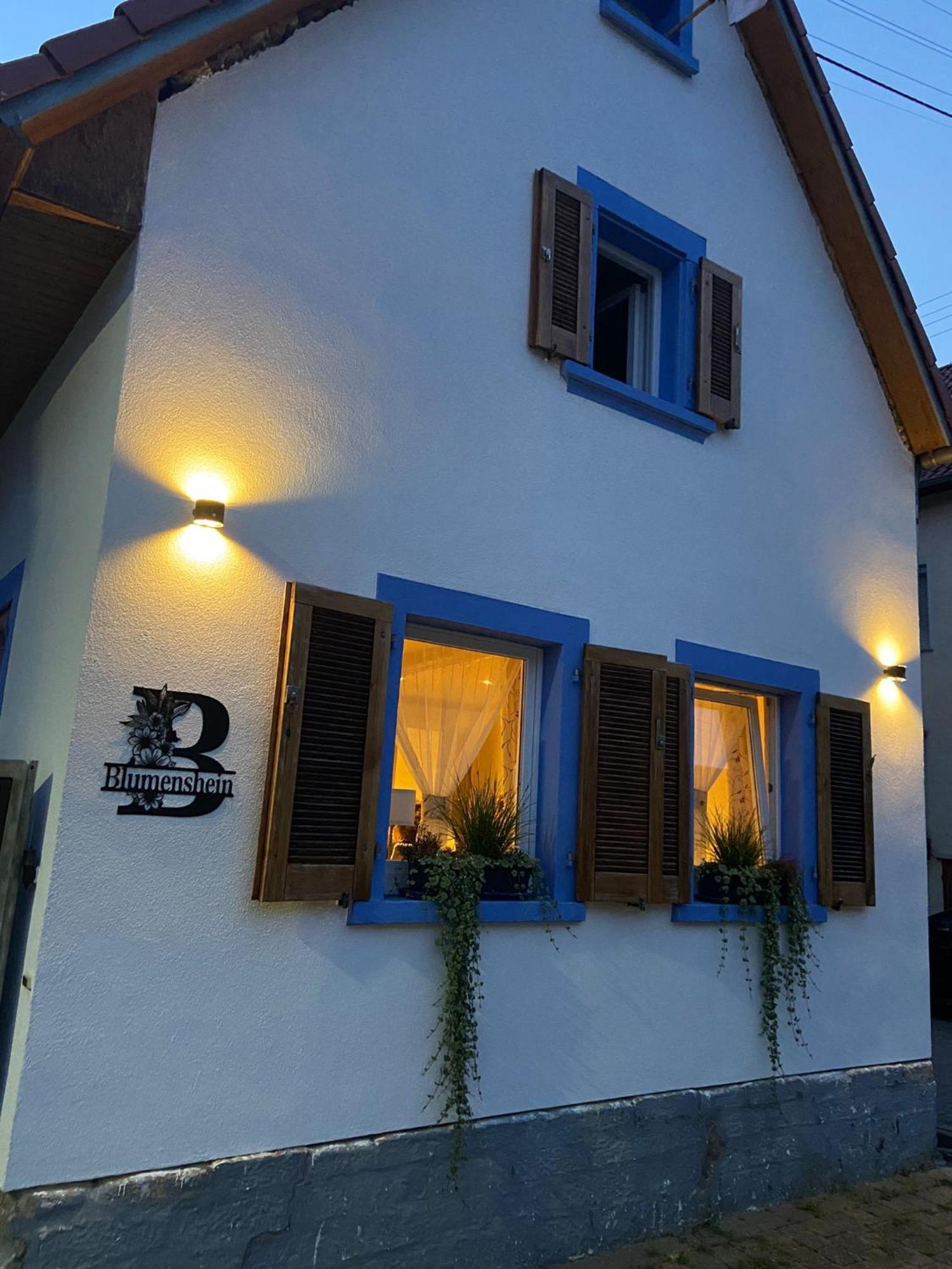 Ferienwohnung Blumenshein Bei Speyer Karlsruhe Familienfreundlich 5 Pers Zeiskam Экстерьер фото